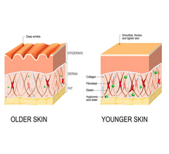 Firming and Nourishing Facial Skin Care Product